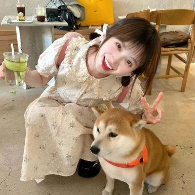 守边人 在线观看封面