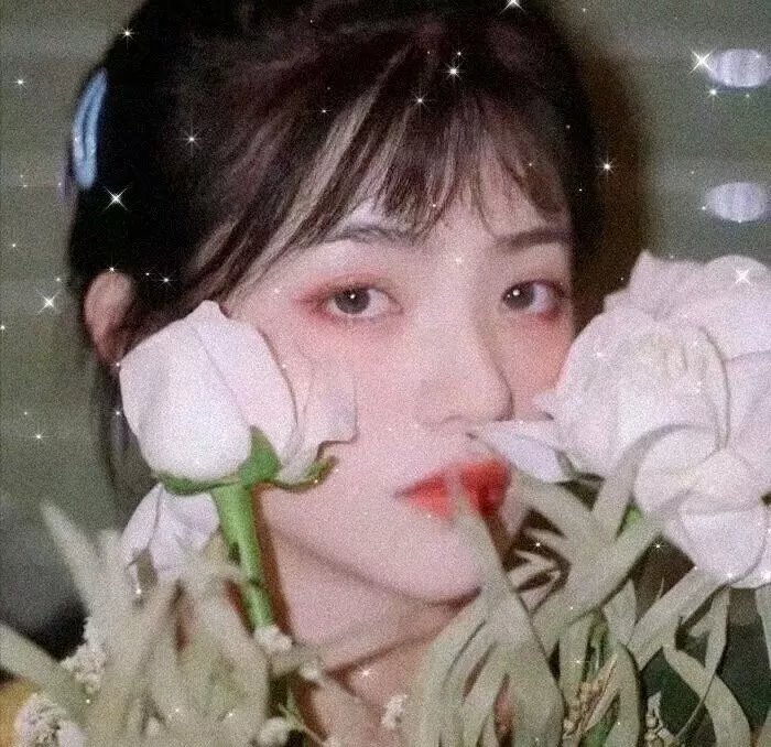 涉外保姆 在线观看封面